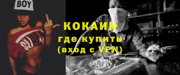 мдпв Каменногорск