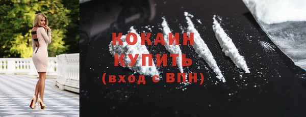 мдпв Каменногорск