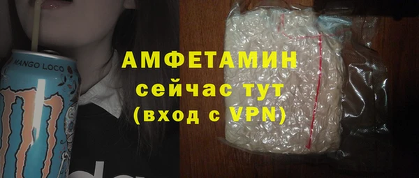 мдпв Каменногорск