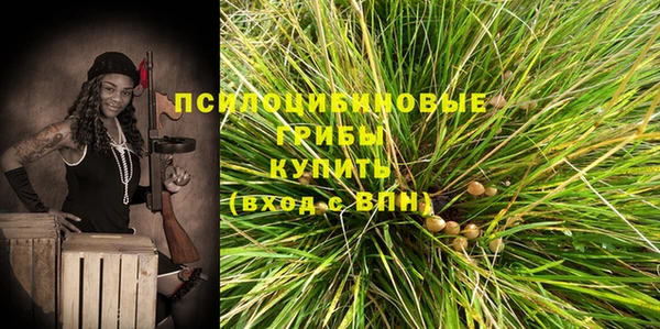 ешки Каменка