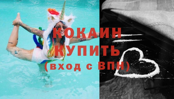 мдпв Каменногорск