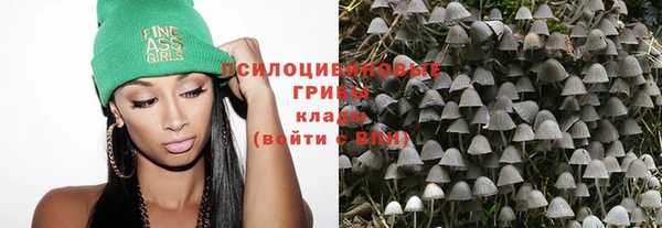 мдпв Каменногорск
