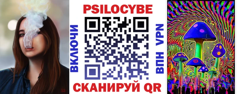 Псилоцибиновые грибы Psilocybine cubensis Стародуб