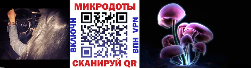 Купить где  Стародуб  Галлюциногенные грибы мицелий 