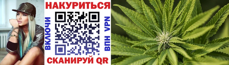 Марихуана Bruce Banner  Купить где  Стародуб 